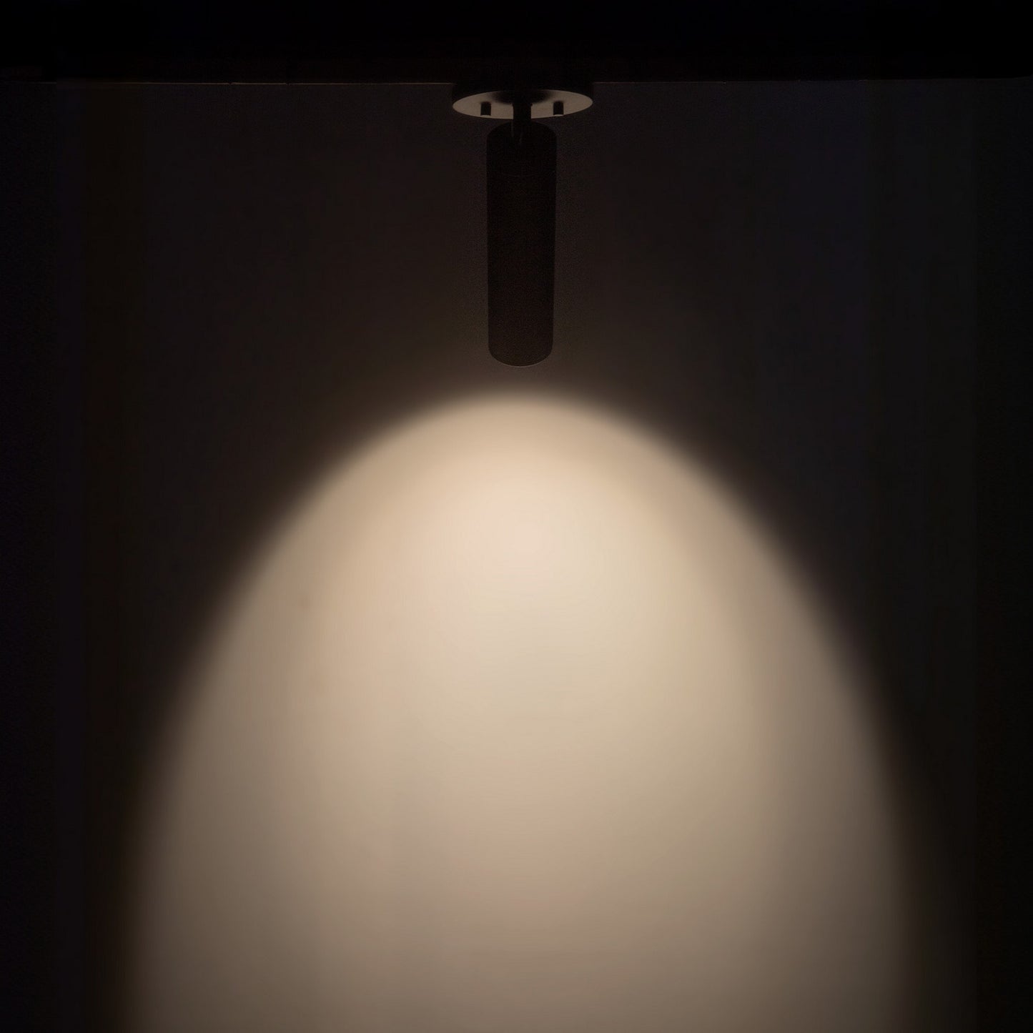 Kuzco Lighting-LD2-SA08W10-3036-BK-UNV-010|ALT|4