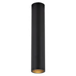 Kuzco Lighting-LD2-FM12W12-3036-BK-UNV-010|ALT|1