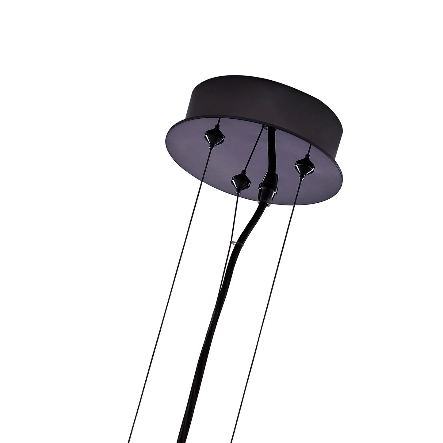 Allegri-030210-184|ALT|3