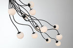 Eurofase-49950-014|ALT|3