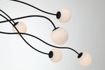 Eurofase-49950-014|ALT|4