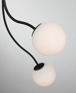Eurofase-50256-013|ALT|1