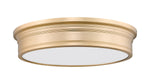 Z-Lite-7702F20-MGLD-LED|ALT|4