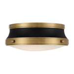 Minka-Lavery-3939-876|ALT|2