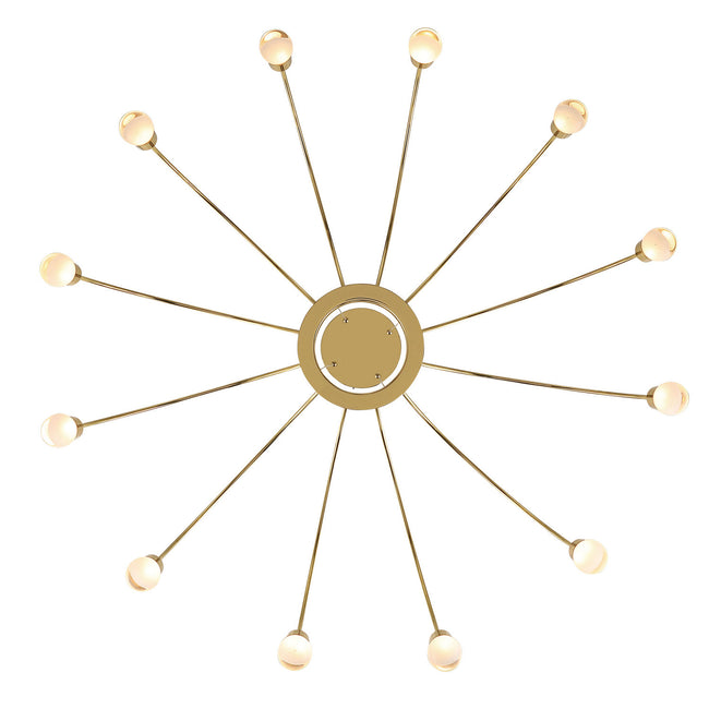 Golden-1573-12 TG-A|ALT|2
