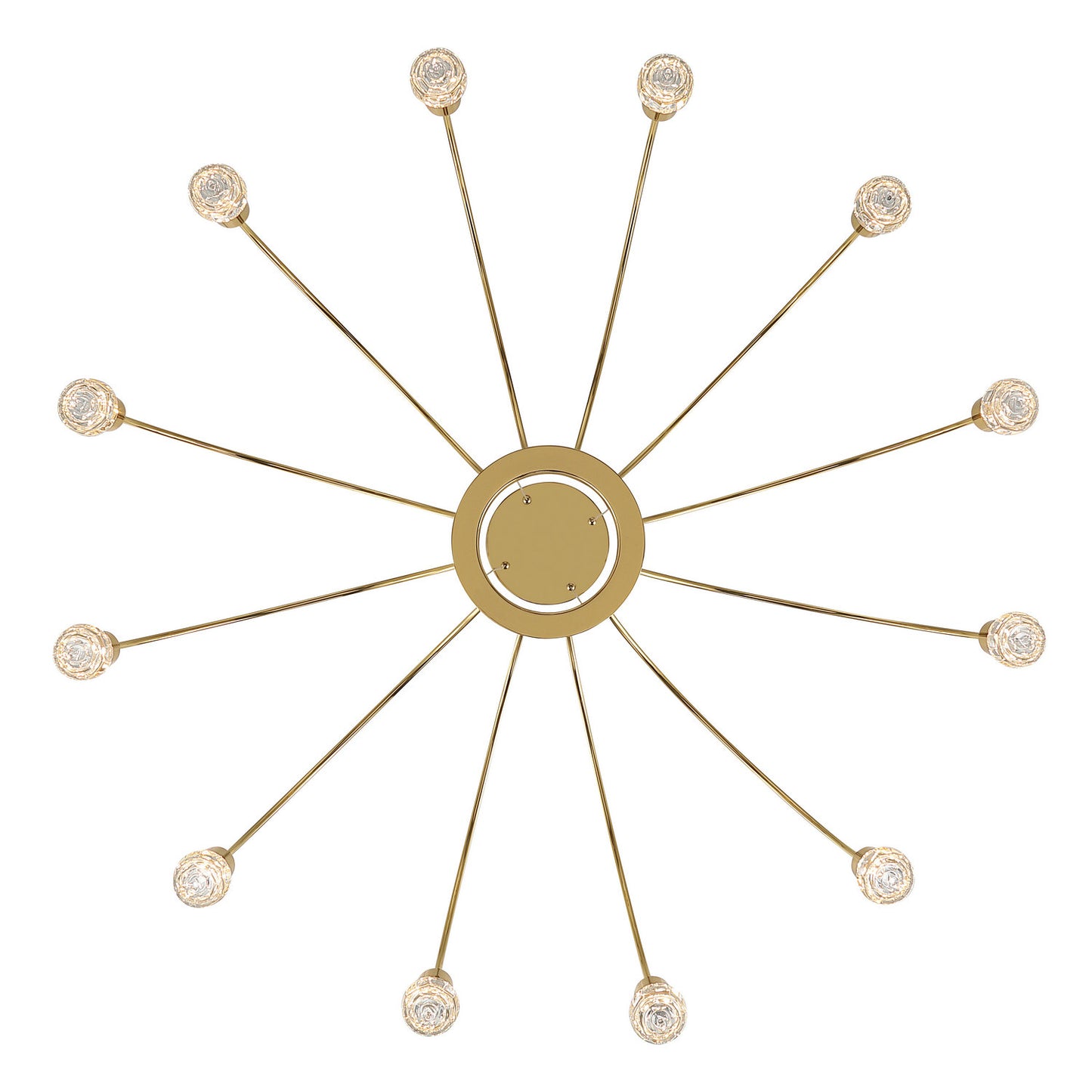 Golden-1573-12 TG-B|ALT|2