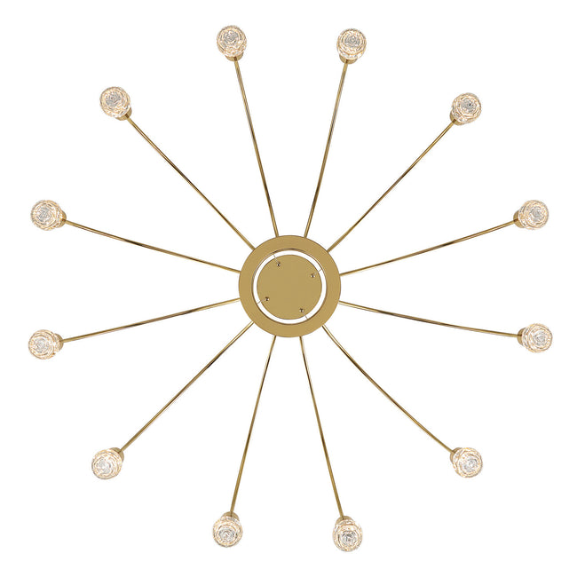 Golden-1573-12 TG-B|ALT|2
