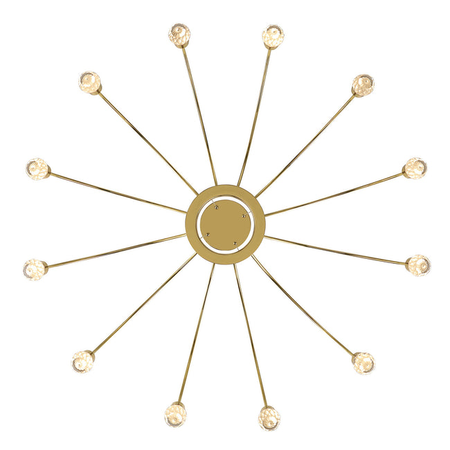 Golden-1573-12 TG-C|ALT|2
