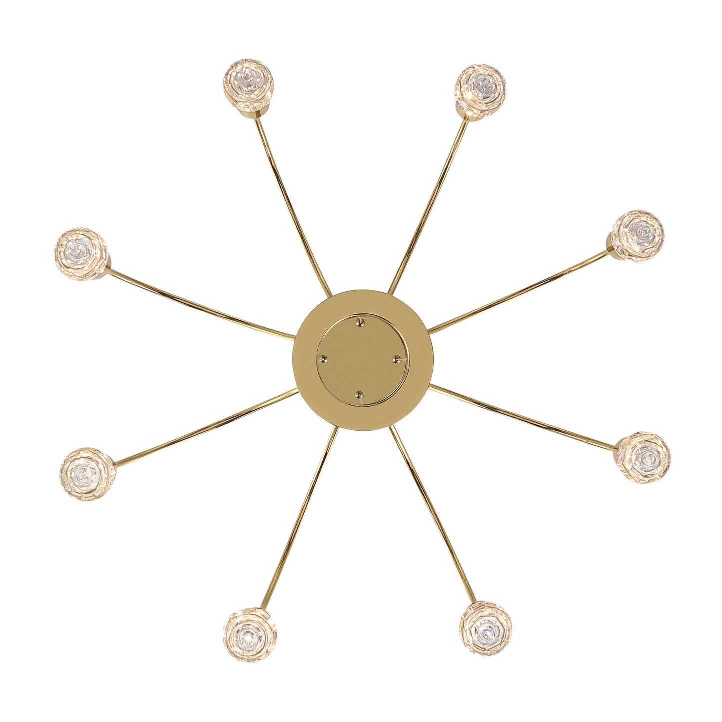 Golden-1573-8 TG-B|ALT|2