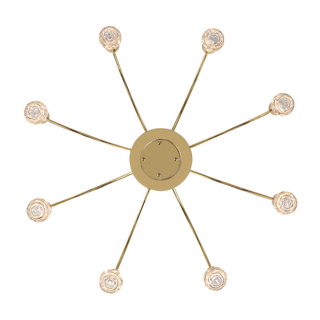 Golden-1573-8 TG-B|ALT|2