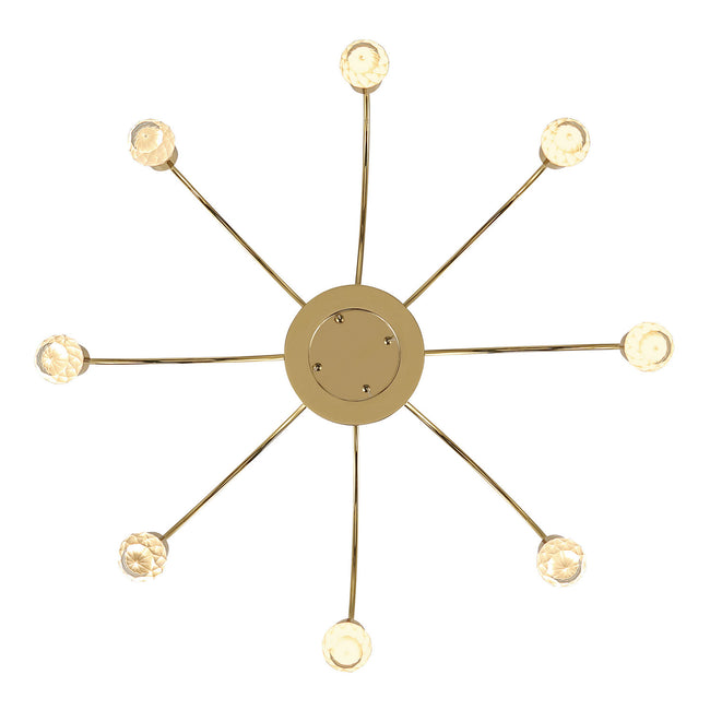 Golden-1573-8 TG-C|ALT|2
