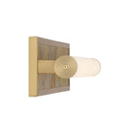Golden-1672-BA24 BCB-MR|ALT|3