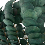 Arteriors-DLS18|ALT|4