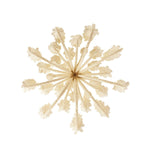 Arteriors-DSS05|ALT|10