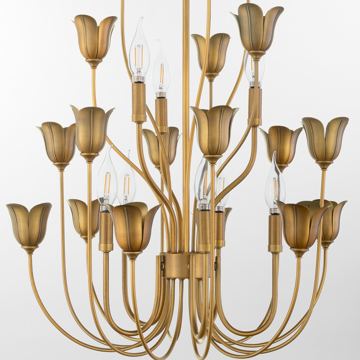 Quorum-608-8-47|ALT|2