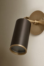 Troy Lighting-B1309-PBR/BRZ|ALT|2