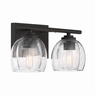 Glint 15.5" Wide 2-Light Vanity (2-Light Vanity - Dark Bronze with Clear and Clear Seeded Glass)
