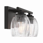 Glint 15.5" Wide 2-Light Vanity (2-Light Vanity - Dark Bronze with Clear and Clear Seeded Glass)