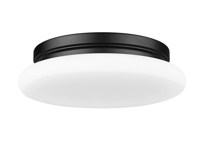 Z-Lite-1025F12-MB-LED|ALT|4
