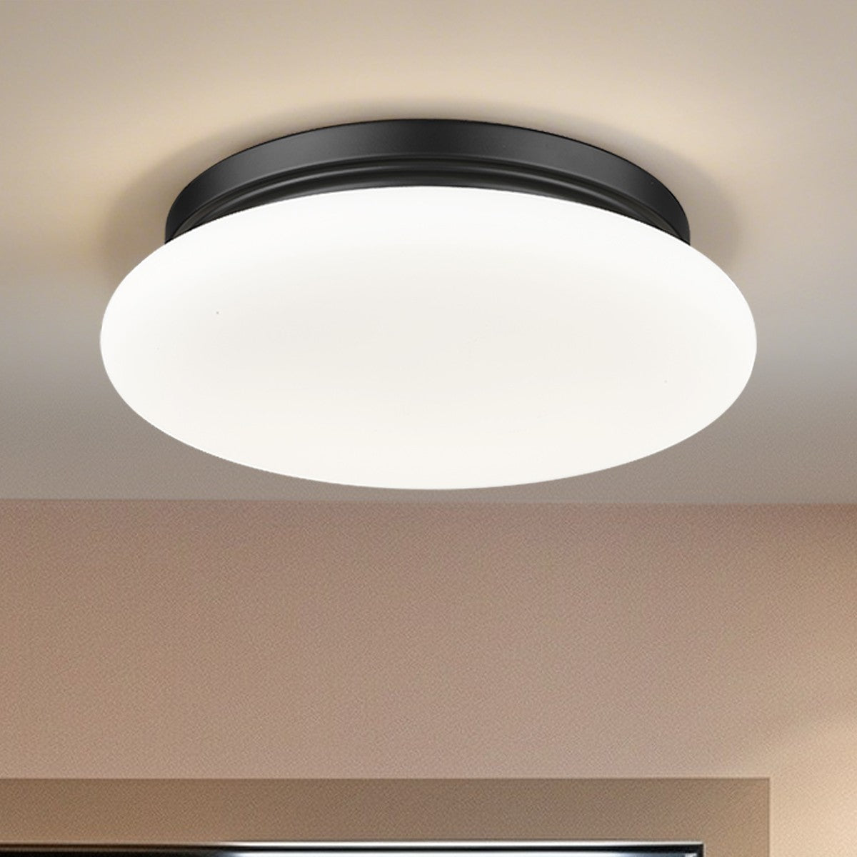 Z-Lite-1025F12-MB-LED|ALT|5