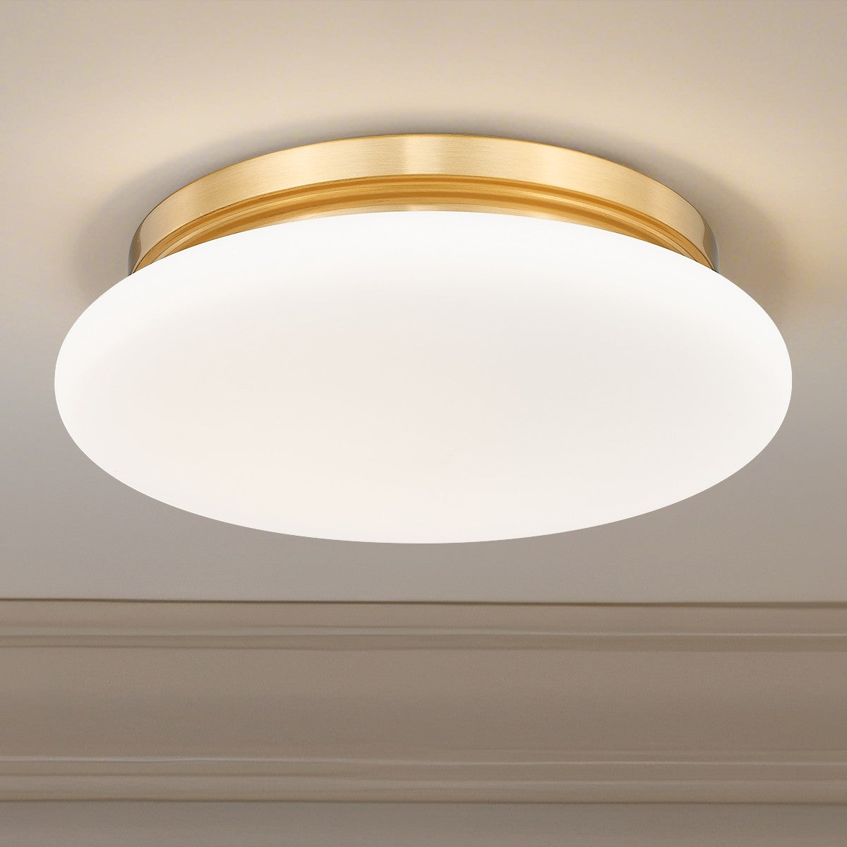 Z-Lite-1025F12-MGLD-LED|ALT|5