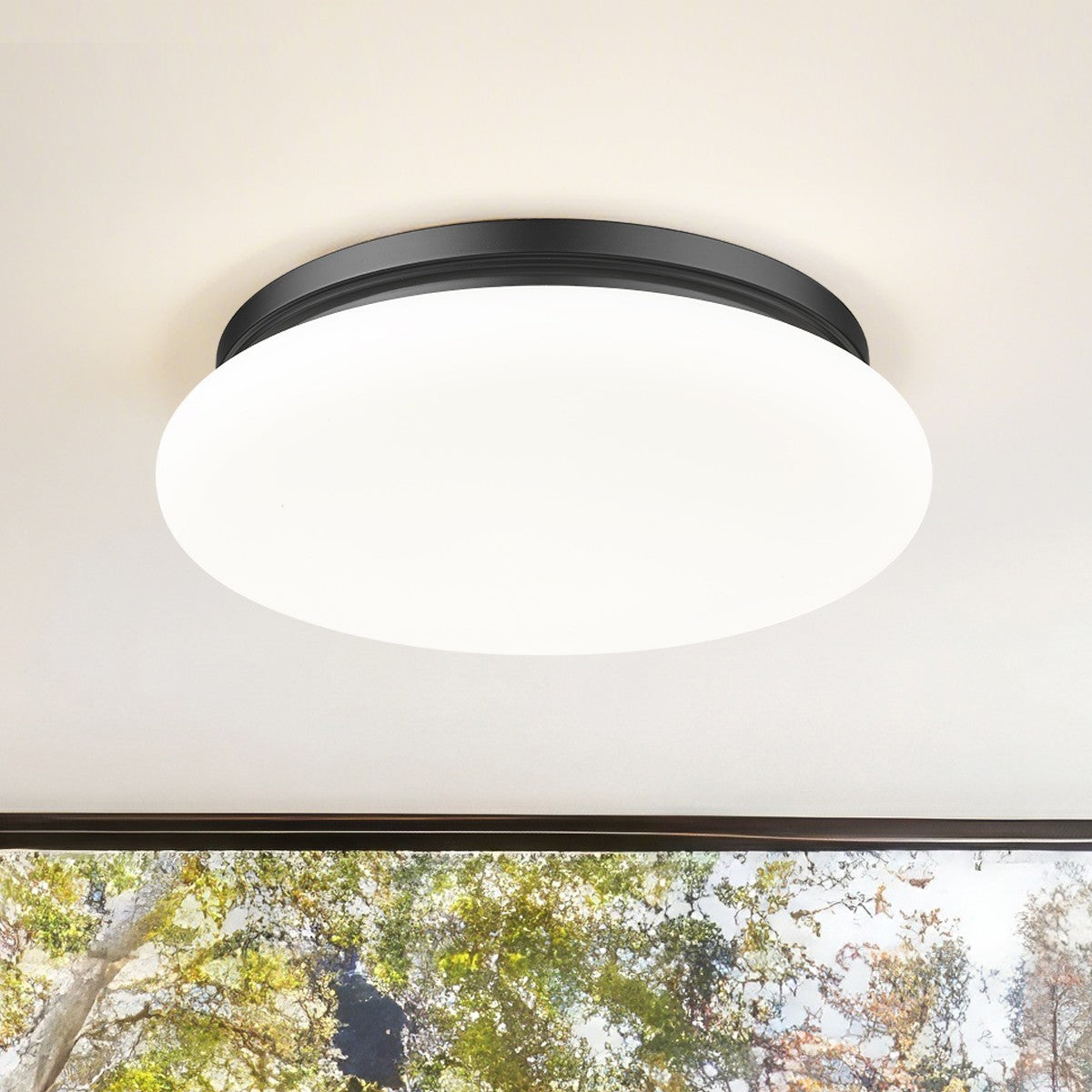 Z-Lite-1025F16-MB-LED|ALT|5