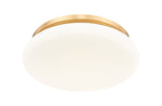 Z-Lite-1025F16-MGLD-LED|ALT|1