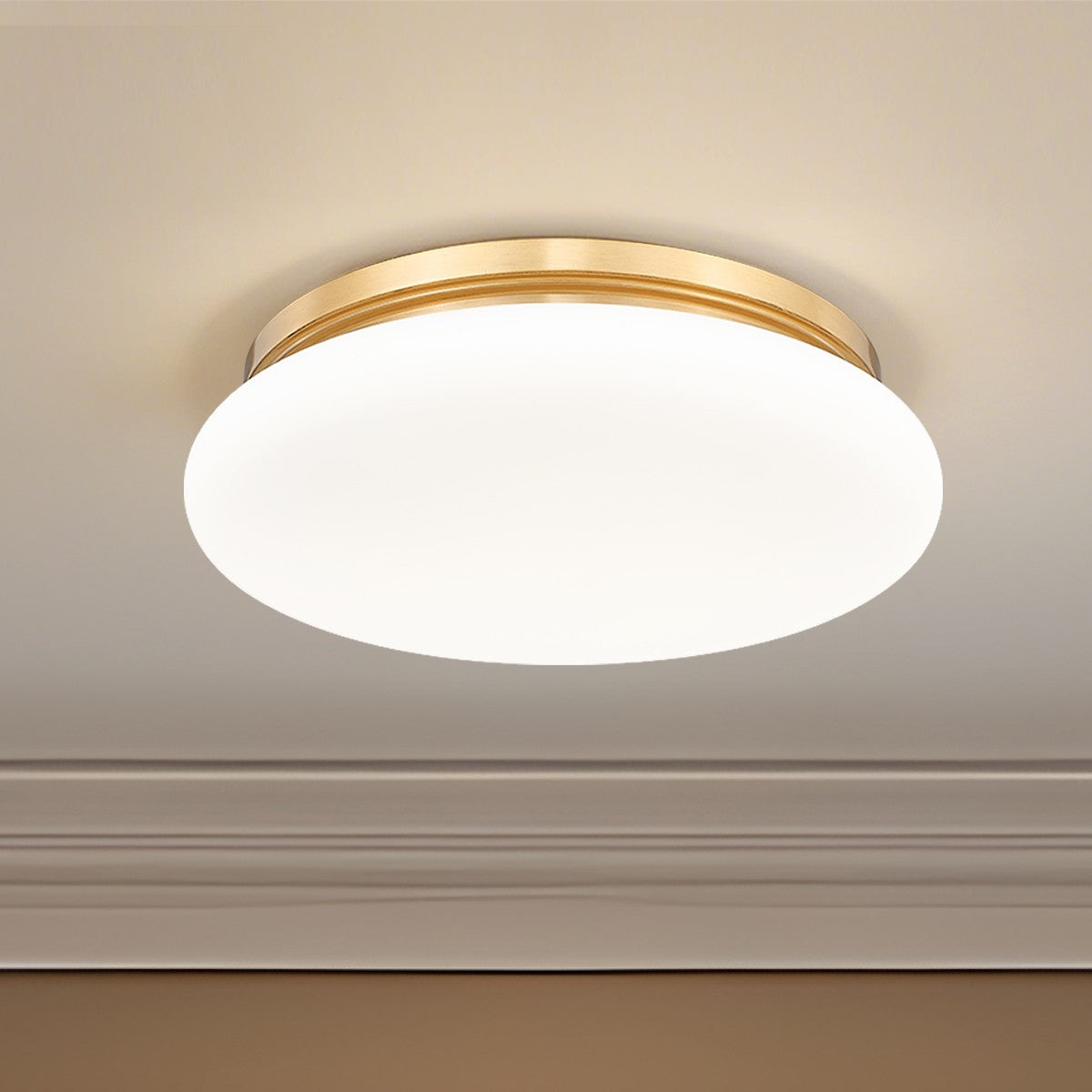 Z-Lite-1025F16-MGLD-LED|ALT|5
