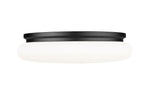 Z-Lite-1025F20-MB-LED|ALT|4