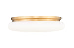 Z-Lite-1025F20-MGLD-LED|ALT|4