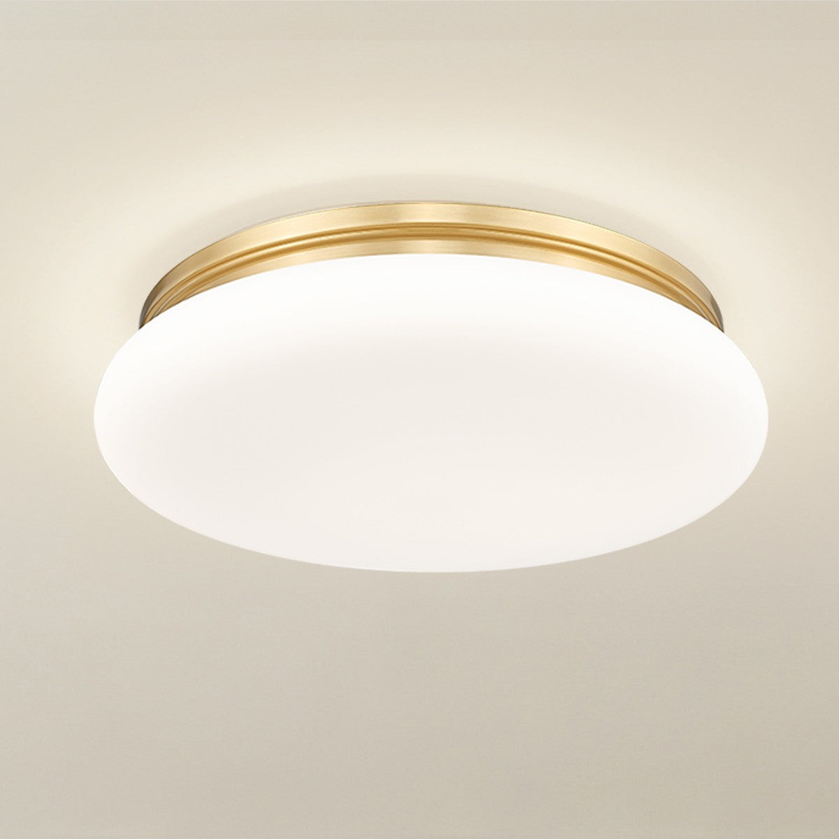 Z-Lite-1025F20-MGLD-LED|ALT|5