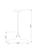 Z-Lite-2308P14-BN|ALT|5