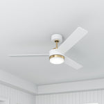 Millennium-1100LED-BR-MWW|ALT|8