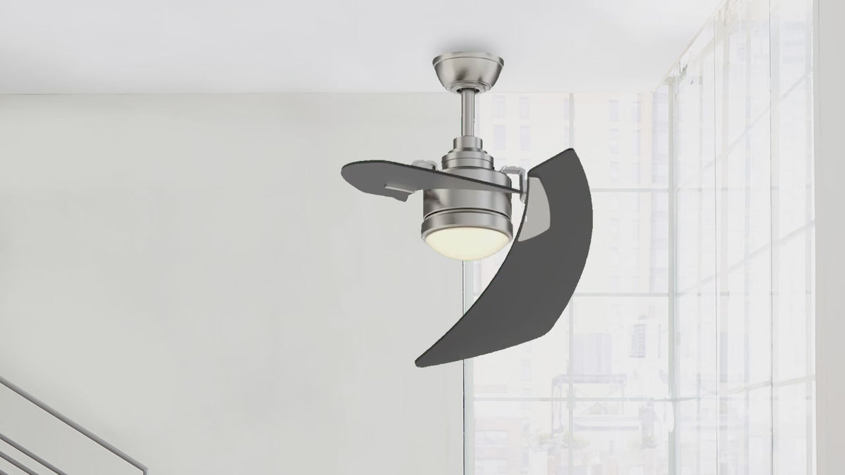 Fanimation LP8066LBN AireDuo - 48 inch - BN with BL Blades and LED LK: 360-degree spin video [Fanimation-LP8066LBN|CUSTOM|14]