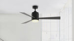 Fanimation LP8277LBL Pylon - 48 inch - BL with BL/SL Blades and LED LK: 360-degree spin video [Fanimation-LP8277LBL|CUSTOM|14]