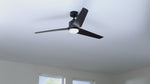 Fanimation TriAire Custom ceiling fan, Black, with light kit: product video in a room, fan and light operation (finish shown may differ) [Fanimation-MAD8514BLW|CUSTOM|2]