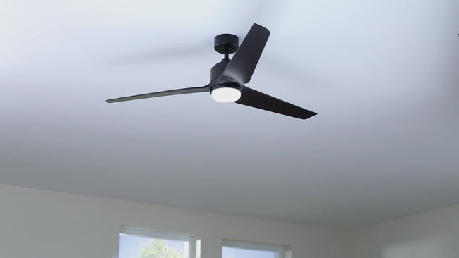 Fanimation TriAire Custom ceiling fan, Black, with light kit: product video in a room, fan and light operation (finish shown may differ) [Fanimation-MAD8514BLW|CUSTOM|2]