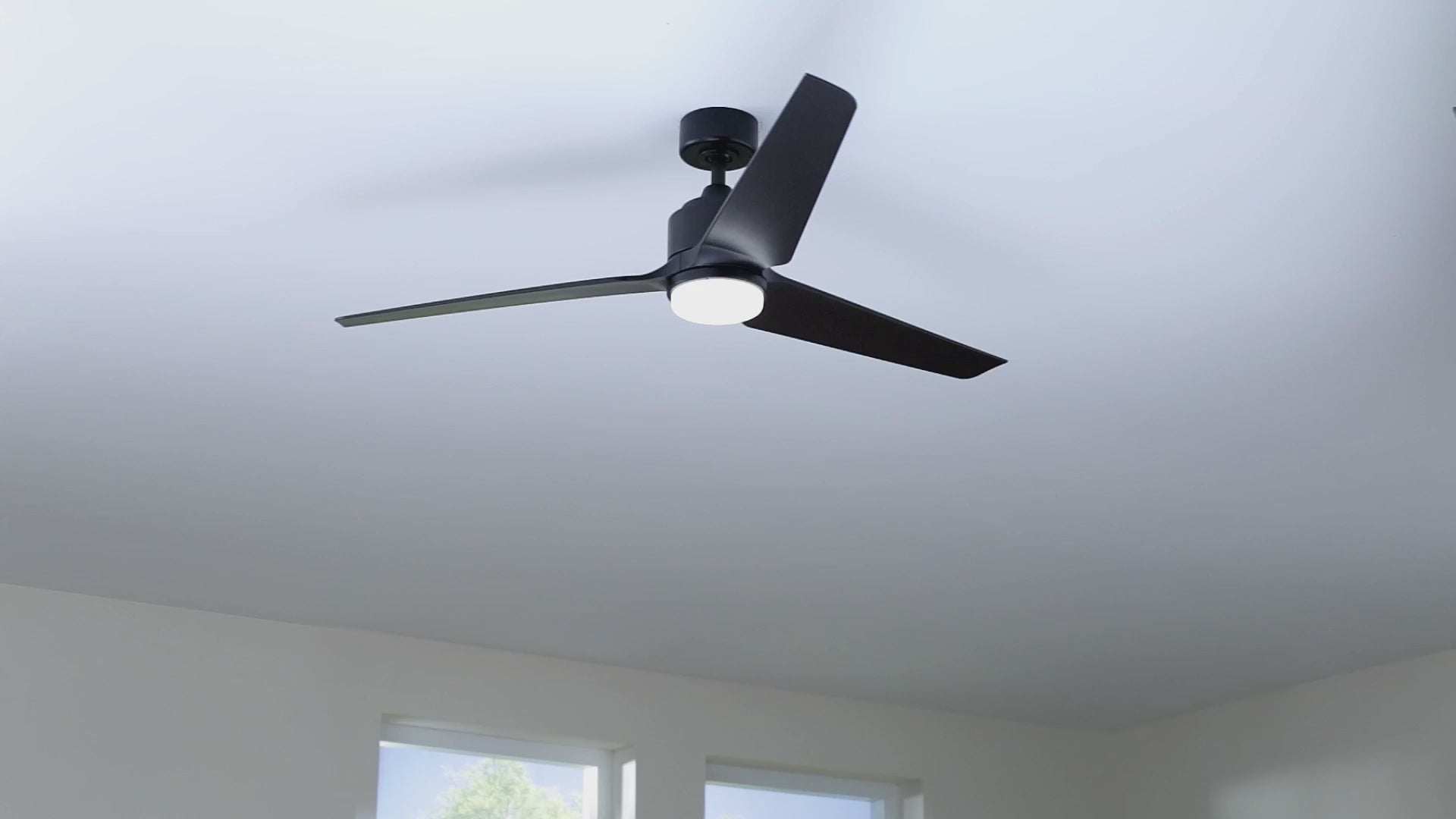 Fanimation TriAire Custom ceiling fan, Black, with light kit: product video in a room, fan and light operation (finish shown may differ) [Fanimation-MAD8514BLW|CUSTOM|2]