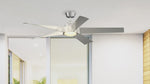 Fanimation LP7614LBN Radius - 60 inch - BN with GRY Blades and LED LK: 360-degree spin video [Fanimation-LP7614LBN|CUSTOM|14]