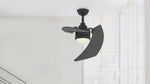 Fanimation LP8066LBL AireDuo - 48 inch - BL with BL Blades and LED LK: 360-degree spin video [Fanimation-LP8066LBL|CUSTOM|14]