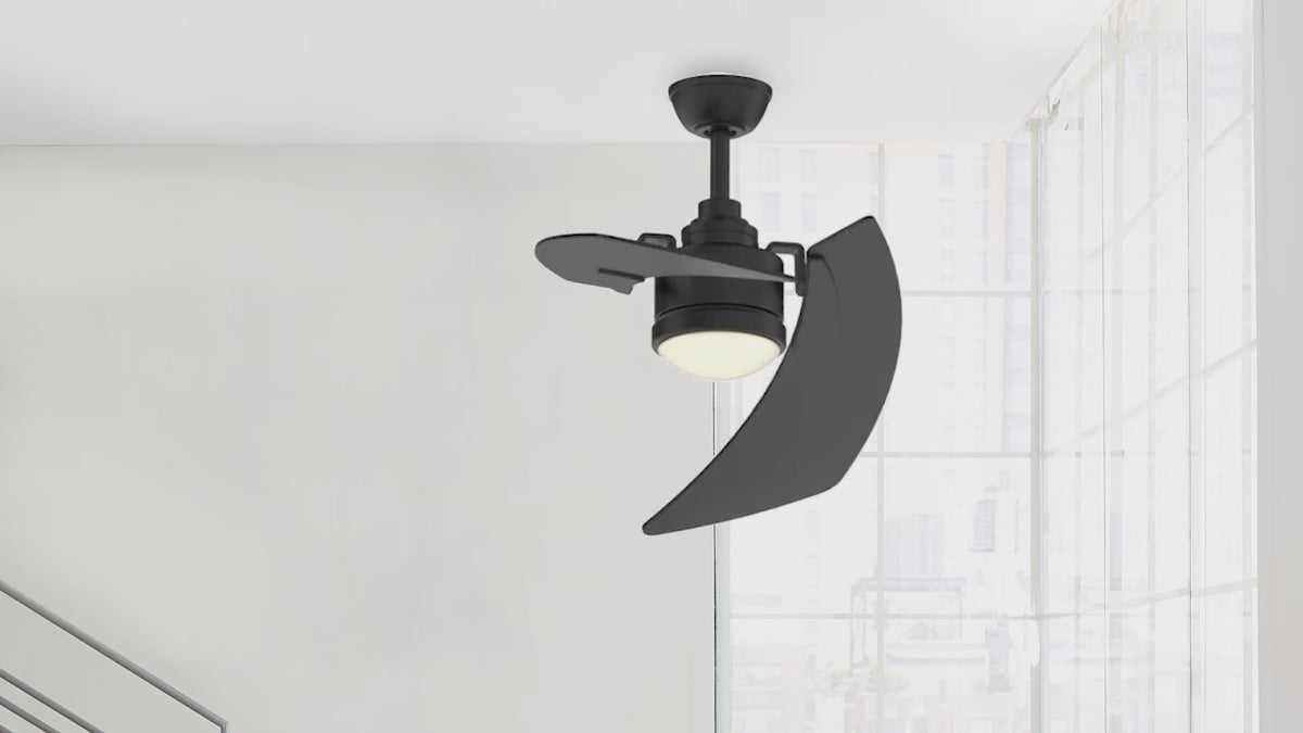 Fanimation LP8066LBL AireDuo - 48 inch - BL with BL Blades and LED LK: 360-degree spin video [Fanimation-LP8066LBL|CUSTOM|14]