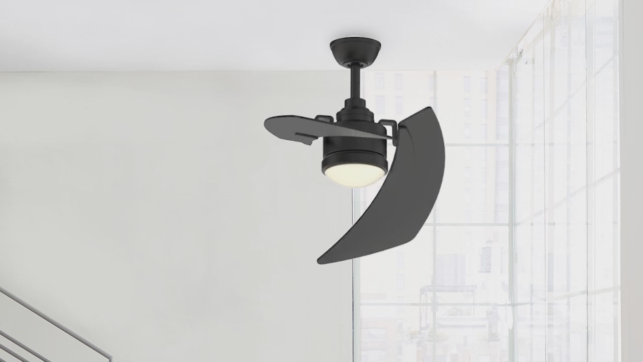 Fanimation LP8066LBL AireDuo - 48 inch - BL with BL Blades and LED LK: 360-degree spin video [Fanimation-LP8066LBL|CUSTOM|14]