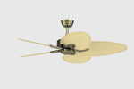 Fanimation FP7500AB Windpointe 52" Ceiling Fan, Antique Brass: 360-degree spin video [Fanimation-FP7500AB|CUSTOM|2]