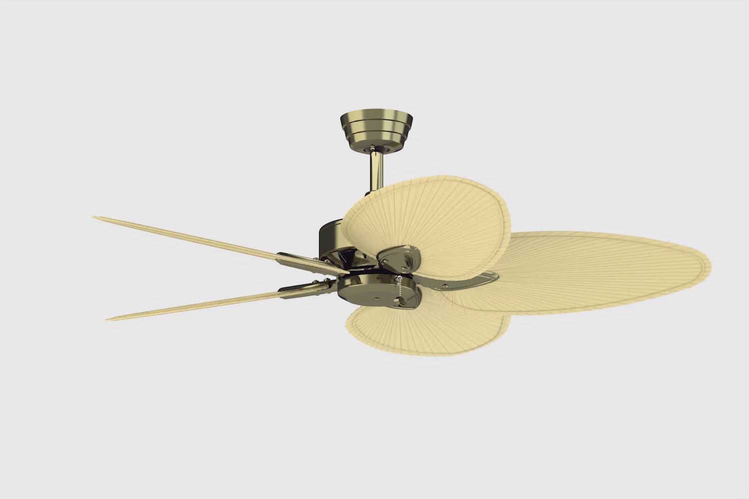 Fanimation FP7500AB Windpointe 52" Ceiling Fan, Antique Brass: 360-degree spin video [Fanimation-FP7500AB|CUSTOM|2]