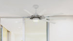 Fanimation LP8147SLMWBN Slinger - 72 inch - BN with MW Blades and LED LK: 360-degree spin video [Fanimation-LP8147SLMWBN|CUSTOM|14]
