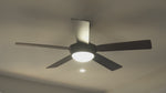 Fanimation Celano V 52 inch ceiling fan: product video in a room, fan and light operation (finish shown may differ) [Fanimation-FP8062BBN|CUSTOM|2]