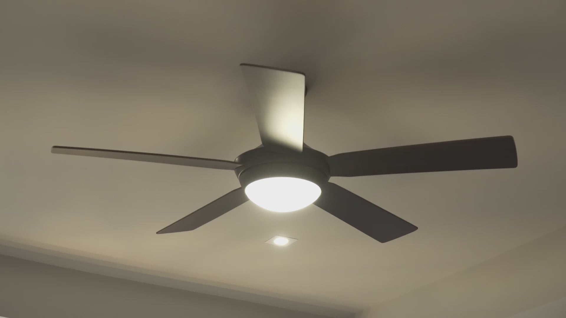 Fanimation Celano V 52 inch ceiling fan: product video in a room, fan and light operation (finish shown may differ) [Fanimation-FP8062BBN|CUSTOM|2]