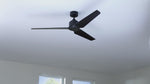 Fanimation MAD8514BLW TriAire Custom Motor, Black: product video, shown fitted with blades [Fanimation-MAD8514BLW|CUSTOM|1]