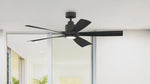 Fanimation LP6834LBL Kwint - 52 inch - BL with BL Blades and LED LK: 360-degree spin video [Fanimation-LP6834LBL|CUSTOM|14]