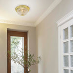 Nuvo Lighting-SF76-091|ALT|2
